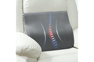 AHUAWA Lumbar Support Pillow for Recliner Chair and Couch, Memory Foam Back Cushion Ergonomic Back Support Pillow for Lower Back Pain Relief, with Soft Velvet