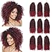 Passion Twist Hair - 8 Inch 9 Small Bundles Afro Curly Crochet Braiding Hair for Black Women, Ombre Curly Crochet Braids Hair Synthetic Water Wave Braiding Hair Extensions (9 Bundles, 1B/BUG)