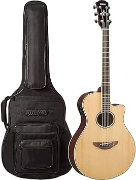 yamaha apx600 gig bag