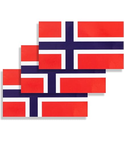 Icono De Cudo Con Bandera Tatal De Noruega Ilustración Del Vector