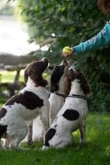 Petface Super Tennis Balls for Dogs 3 Pack Durable High-Visibility Fetch Toy view 5
