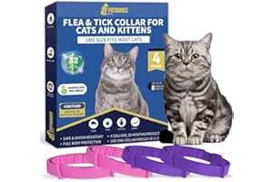 YOTANGO 4 Pack Flea Collar for Cats, 32 Months Flea and Tick Prevention for Cats, Waterproof Cat Flea Collar, Natural Cat Flea and Tick Treatment, Adjustable Flea and Tick Collar for Cats Kittens(Pink&Purple)