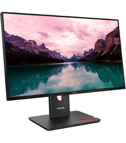 Amazon.com: Lenovo ThinkVision T24-40 24