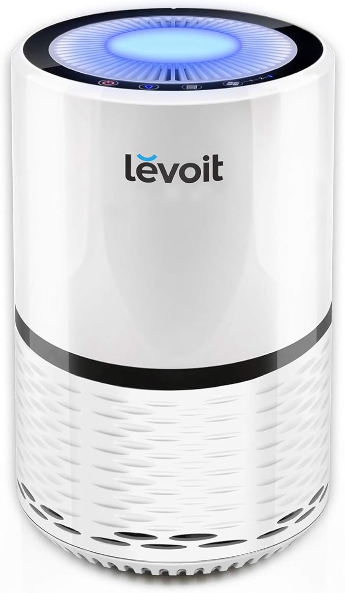 Explore the Best Air Purifier for Smoke Under 100 Home Ionizer