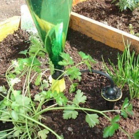 Iriso. 4 Soportes de riego por goteo: Amazon.es: Jardín