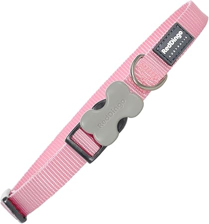 red dingo puppy collar