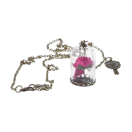 Niumanery Femmes Romantique Fleurs Séchées Verre Bronze