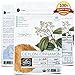 Organic Ceylon Cinnamon Ground Powder - 1 pound - 100% Organic, Non GMO, Highest Quality