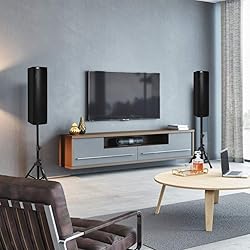 GOFLAME All-in-one Bluetooth Loud Speaker Set of