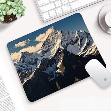 Download Seedekor verkauf For iPhone Free Seedekor Verkauf