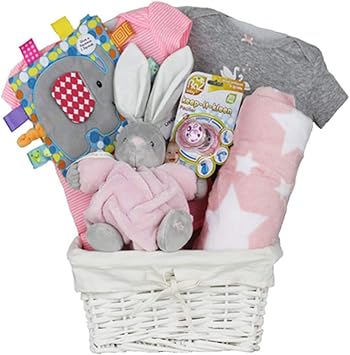 newborn baby girl basket