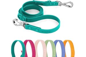 Wisedog Waterproof Standard Dog Leashes with 2 Hooks, 5 ft/ 6 ft Lengths, Adjustable for Traffic Control Safety, for Small, Medium & Large Dogs Walking (Emerald Green,L)