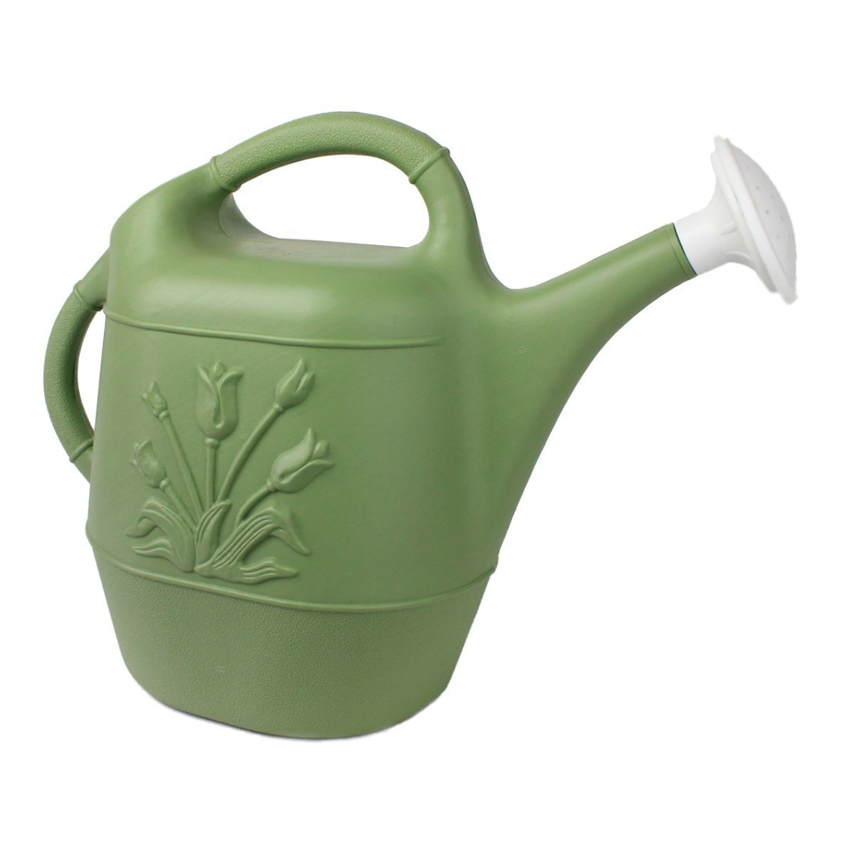 Union 63068 Watering Can With Tulip Desi Buy Online In El Salvador At Desertcart