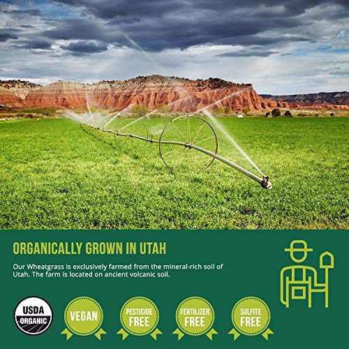 Organic 5 Grass Juice Blend 20x Potency, Raw, ColdPressed