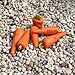 Miniature Fairy Garden Carrots, Set of 6