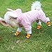 HaveGet Waterproof Dog Shoes Fluorescent Orange Dog Boots Adjustable Straps and Rugged Anti-Slip Sole Paw Protectors for All Weather Comfortable Easy to Wear Suitable for Medium Dog (XXS)