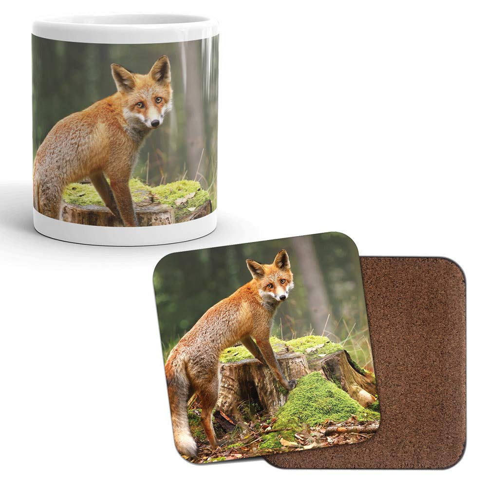 DV Mugs Ltd Mug & Coaster Set - Wild Ginger Fox Foxes Ginger Woodland Dad Brother #8220 (Mug & Coaster)