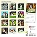 Saint Bernards 2018 Calendar