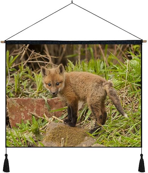 Amazon Co Jp 綿の麻 タペストリー 多機能 掛け軸 掛け物 横 80cmx60cm フォックスカブ若いキツネ草 個性 掛け軸 掛け物 掛けじく ポスター インテリア 組立式 部屋飾り壁 壁飾り ホーム キッチン Amazon Co Jp 綿の麻 タペストリー 多機能 掛け軸 掛け物 横 80cmx60cm フォックスカブ若いキツネ草 個性 掛け軸 掛け物 掛けじく ポスター インテリア 組立式 部屋飾り壁 壁飾り ホーム キッチン