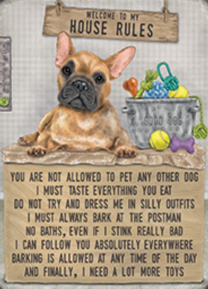 The Original Metal Sign Small (15 x 20 cm) Metal Sign - Dog's - Welcome to my House Rules