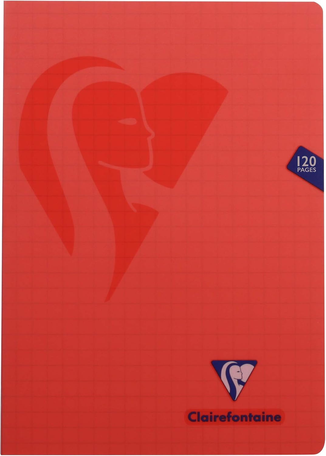 Clairefontaine 303510C Set of 10 Mimesys Stapled Notebooks, A4 21x29.7cm, 120 Quadruled 10x10 w/ Margin, White Paper 90g - Image 5