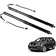 Merautop SJ Rear Tailgate Power Liftgate Support Shock Strut Compatible with Nissan Pathfinder Sport 3.5L 2017-2019 Left & Right Side Power Hatch Shock Struts 1 Pair Replace# 905609PJ0A