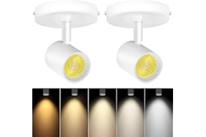VANoopee 5-Color Dimmable Ceiling Spotlight Flush Mount Adjustable Directional LED Spot Lights Indoor Bright Accent Fixture for Art Picture Living Room - CRI90 24° Flicker Free 10W 800lm White 2 Pack