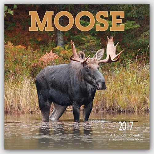 Moose 2017 Square Wyman