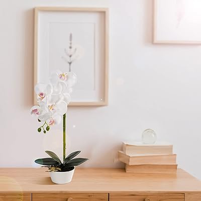 photo Dining Table Vase With Flowers germany