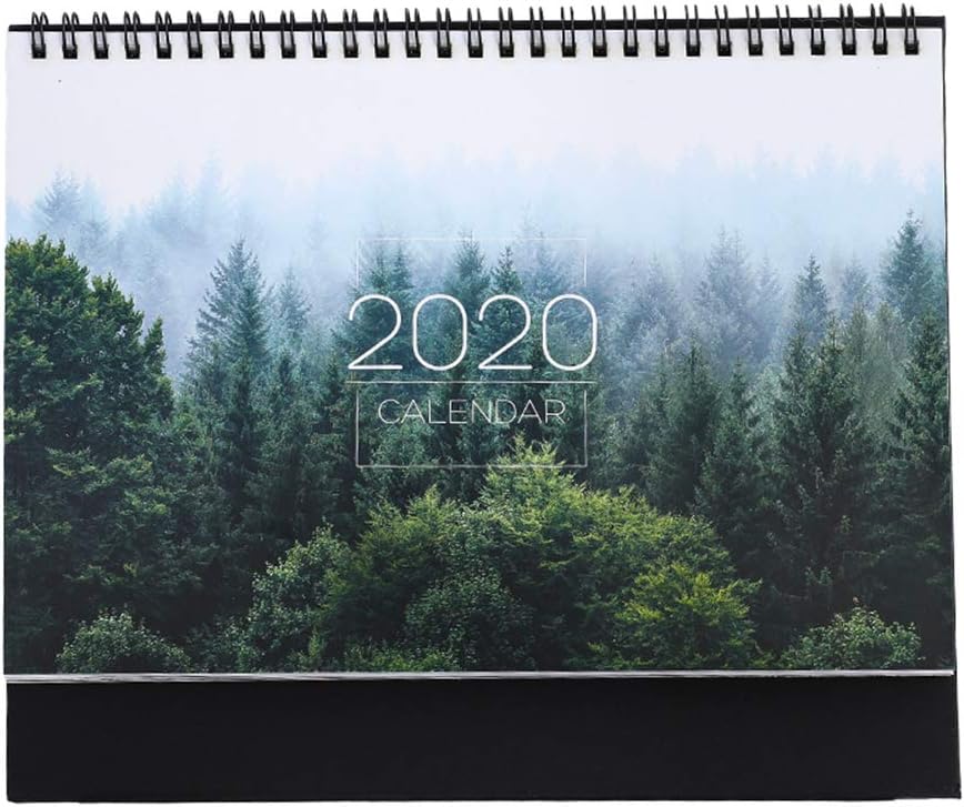 Echaprey 2019-2020 Desk Stand Up Calendar Desktop to Do List Daily Planner Learning Schedule Periodic Planner Calendar (Silver)