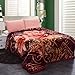 JML Heavy Warm Blanket, Plush Blankets King Size 85