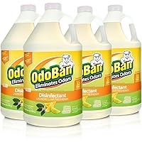 OdoBan 1 Gal Concentrate 4-Pack, Citrus Scent - Odor Eliminator, Disinfectant, Flood Fire Water Restoration