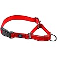 Max and Neo Nylon Martingale Collar - We Donate a Collar to a Dog Rescue for Every Collar Sold (Large, RED)