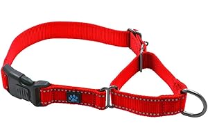 Max and Neo Nylon Martingale Collar - We Donate to a Dog Rescue for Every Collar Sold (Medium, RED)