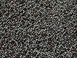 1 Pound Afghan Blue Poppy Seeds
