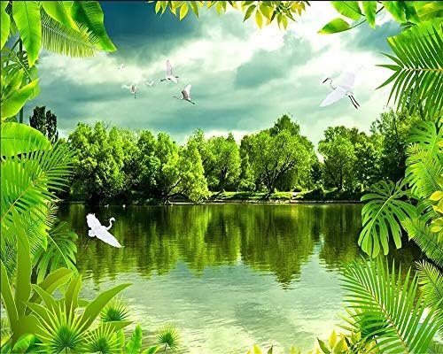 Tropical Rainforest Wallpaper Mural Fantasy Forest Nature Hd Tv