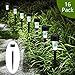 GIGALUMI Small guan zi led Light Mother ti 12pack