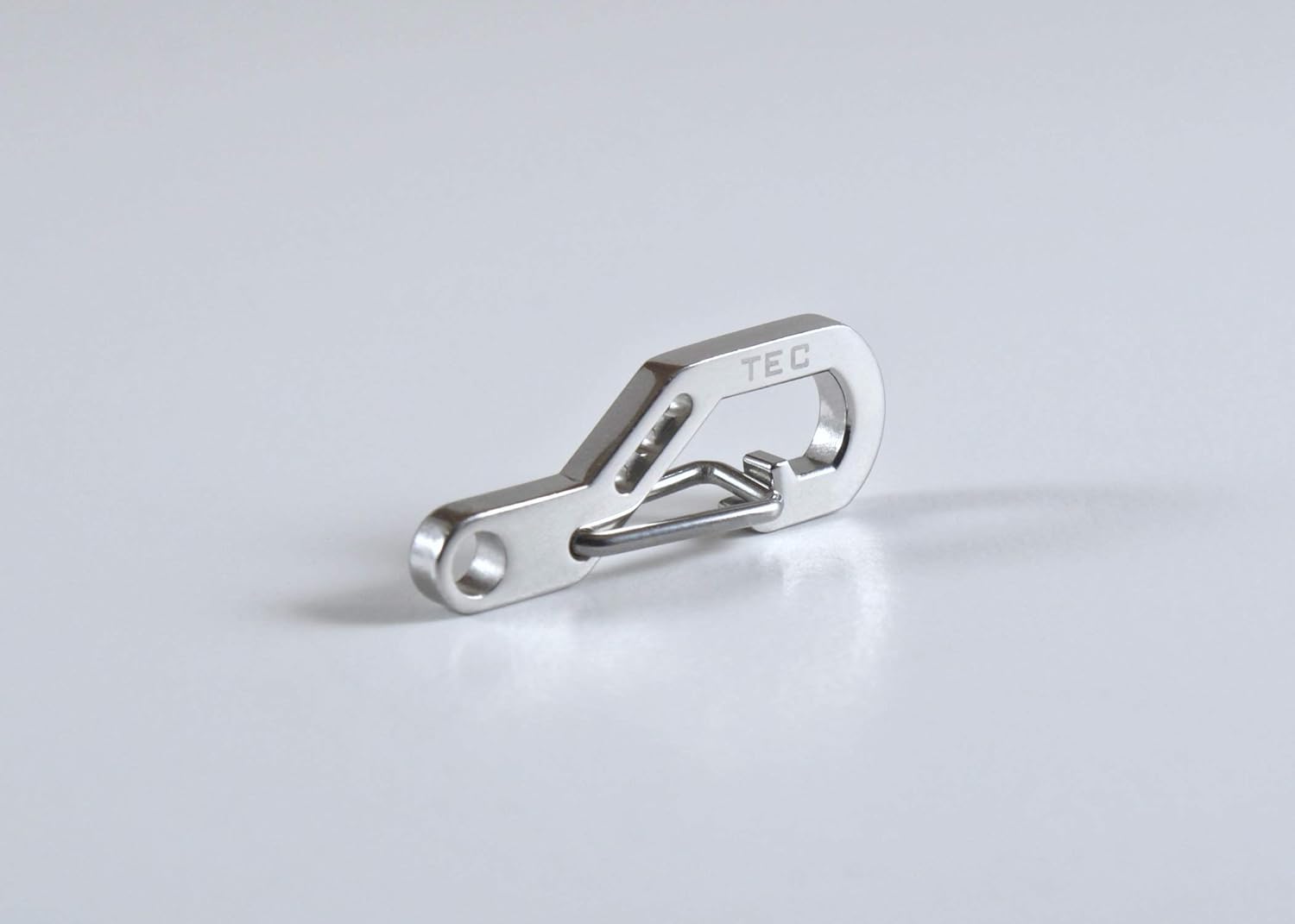 TEC Accessories Python Clip - Stainless Steel Keychain Carabiner with Gate Guard: Clothing