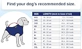MPS Medical Pet Shirt Dogs Medium Plus Blue Recovery Suit view 6