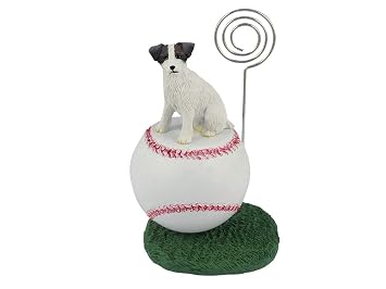 Amazon Com Conversation Concepts Jack Russell Terrier Rough Coat