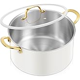 BEZIA 6 QT Stainless Steel Stockpot with Lid, Casserole with Lid, Soup Pot with Sturdy Handle, Even Heat Distribution, Induction Cooking Pot for All Stoves, Ideal for Soups & Stews