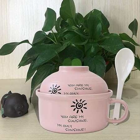 Fiambrera de cerámica con tapa y asa, ideal para microondas Powder ...