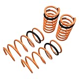 Megan Racing MR-LS-SV02 Coilover Lowering Spring