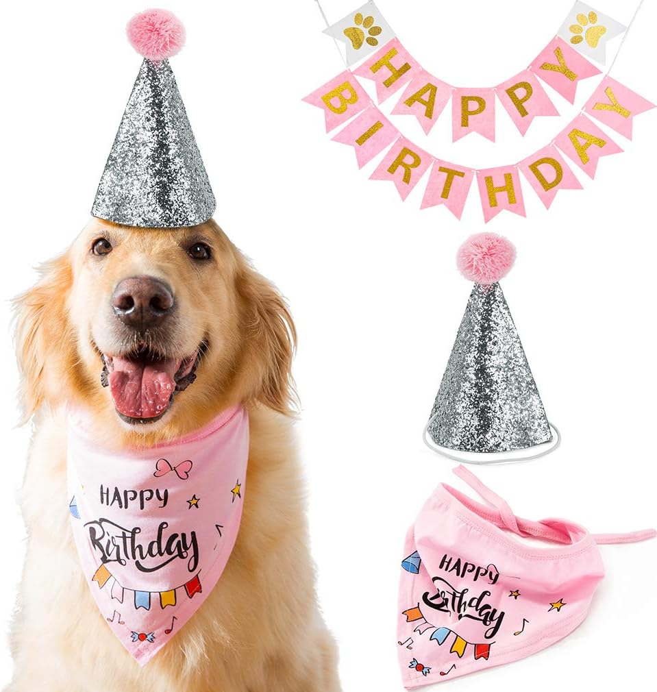 Dog birthday bandana and hat Clearance