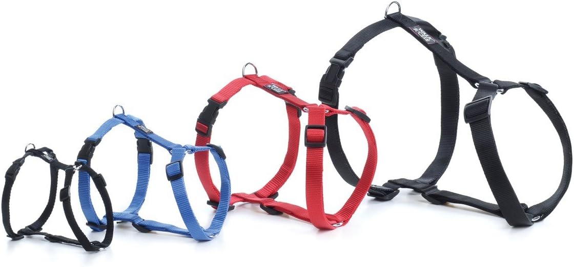 walk r cise dog harness