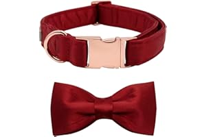 Lionet Paws Bowtie Dog Collar - Comfortable Silk Dog Collar with Detachable Bow Tie for XLarge Dogs Wedding, Neck 16-26 Inches