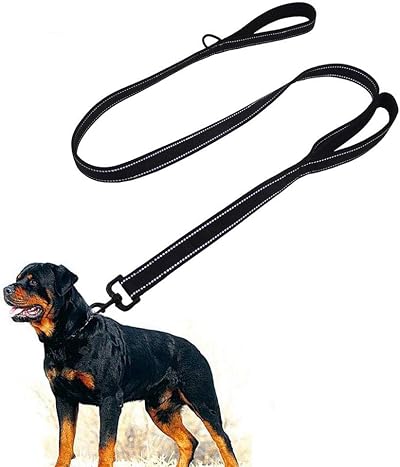Eyeleaf Dog Lead Heavy Duty Nylon Training Leash 1 Inch Reflective 1.5m