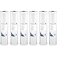 Pentair Pentek RFC-20BB Big Blue Carbon Water Filter, Whole House Heavy Duty Radial Flow Carbon Replacement Cartridge with Granular Carbon (GAC) Filter, 20" x 4.5", 25 Micron, Pack of 6, White