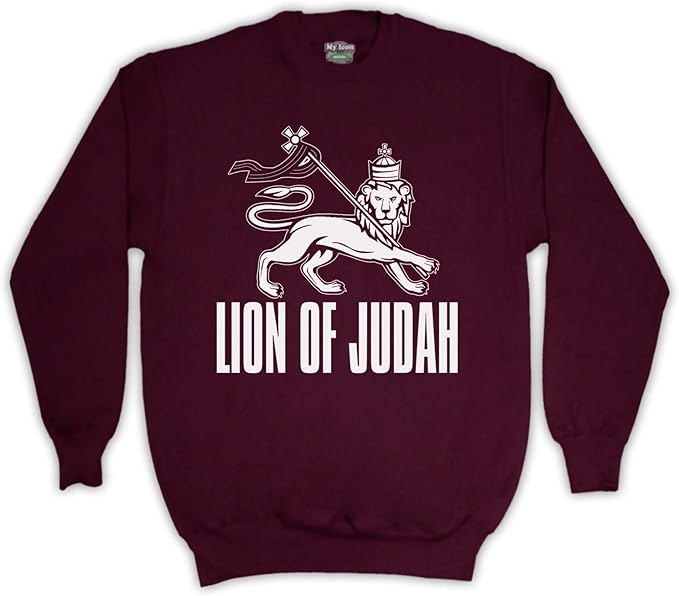 Lion Of Judah Israelite Tribe Kids Sweatshirt Amazon.co.uk Clothing