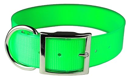 neon green dog collar